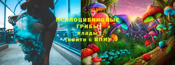 Альфа ПВП Кукмор